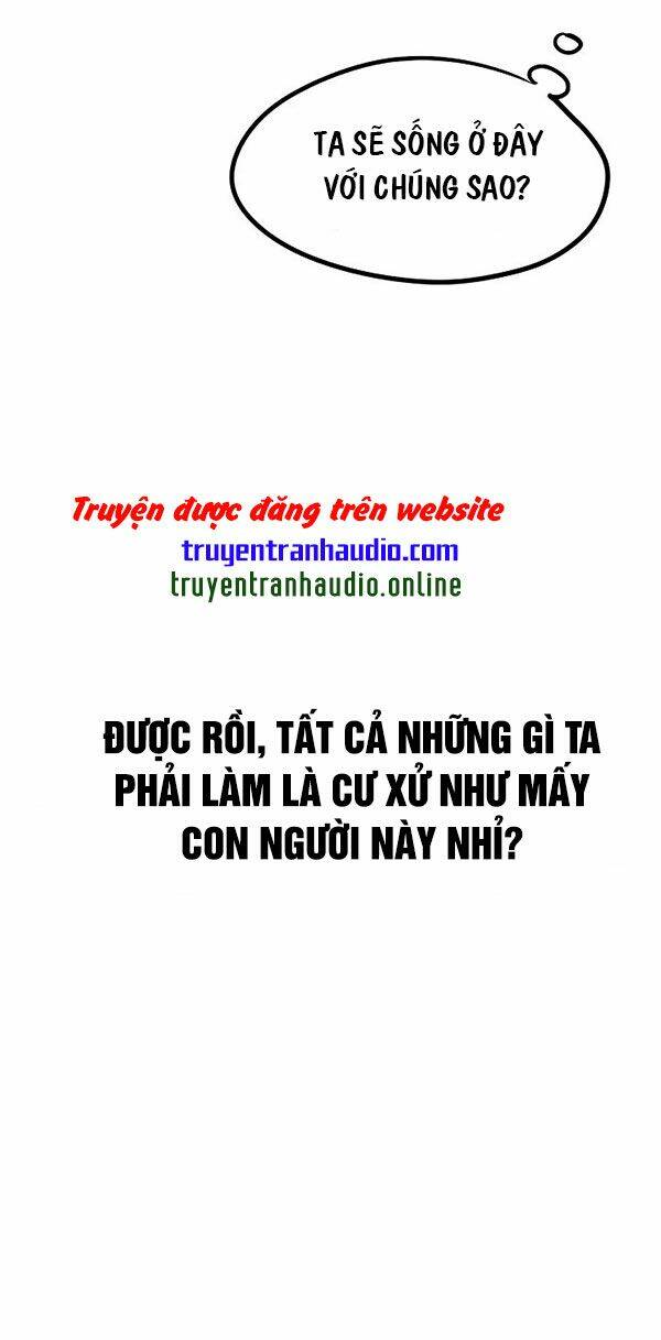 Cuộc Phiêu Lưu Của Cậu Bé Rồng Chương 3 Ảnh 20