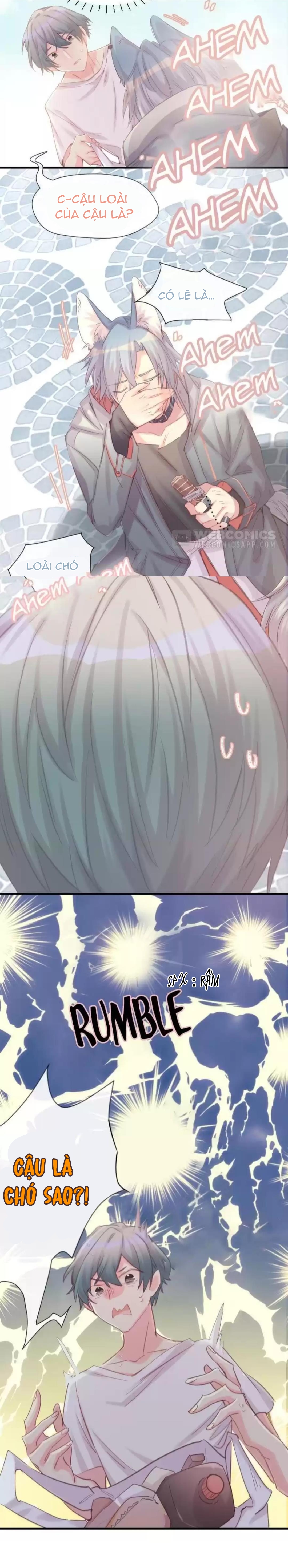 Chocolate Có Hại Cho Chó Chương 2 Ảnh 10