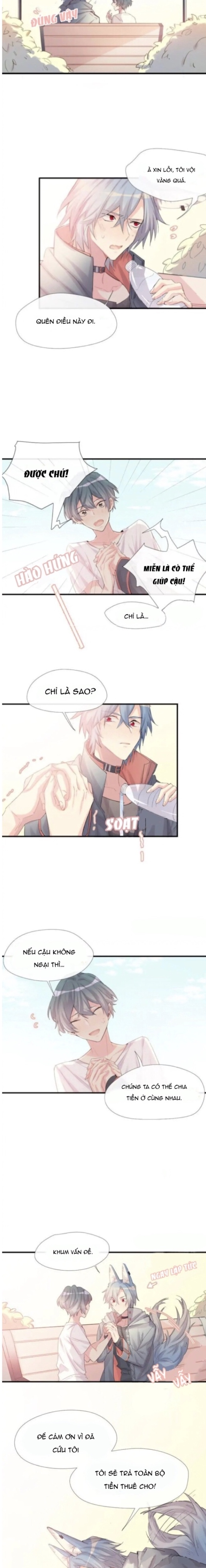 Chocolate Có Hại Cho Chó Chương 3 Ảnh 5