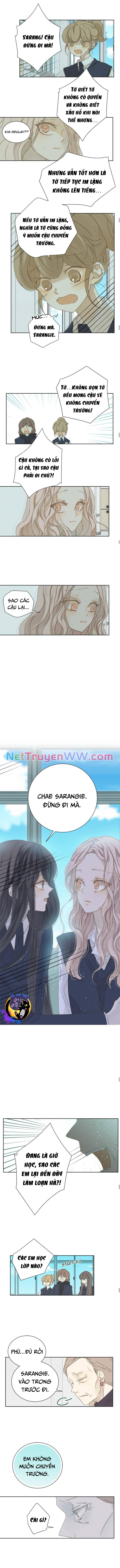 Cô Nàng Sắc Sảo Chương 34 Ảnh 6