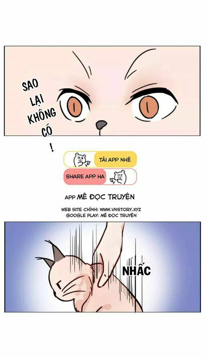 Hồ Tiên Này Không Tin Được Chương 36 Ảnh 8