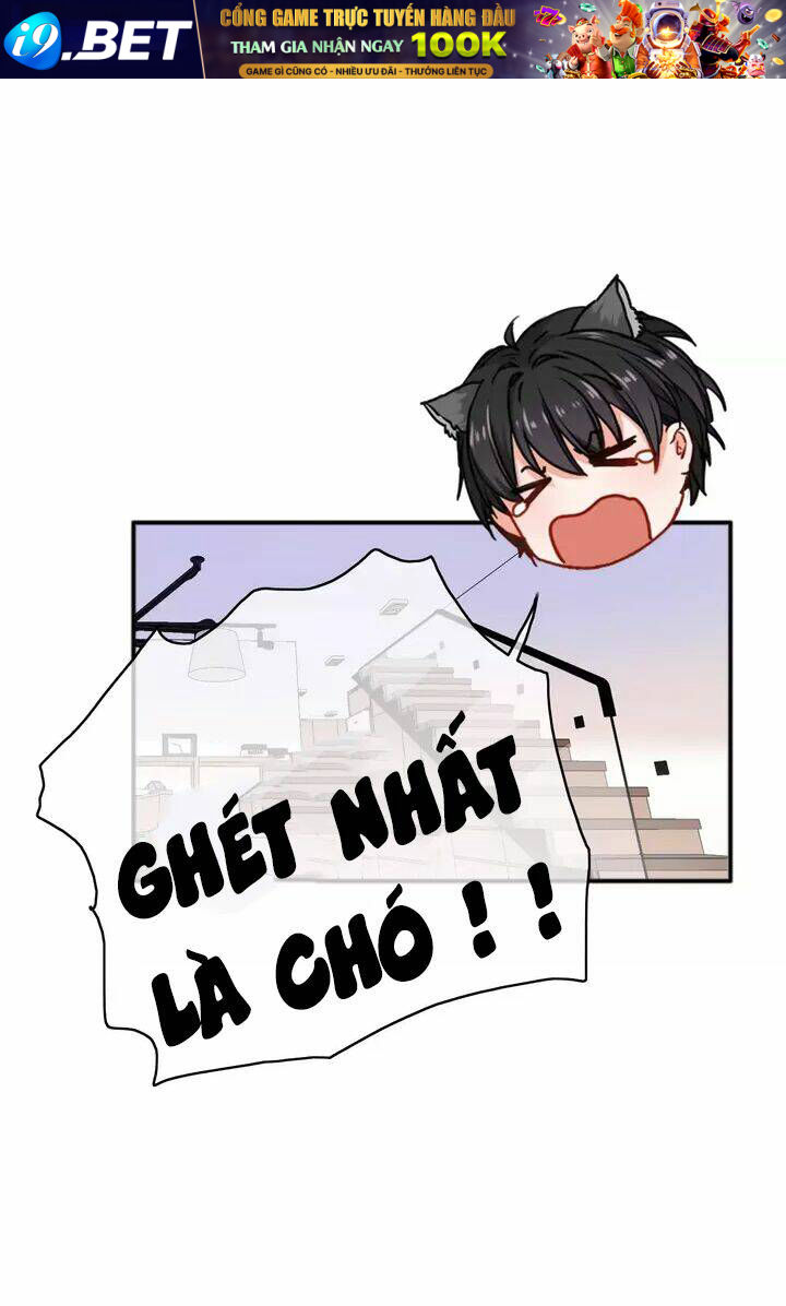 Thập Quang Mật Ngữ Chương 13 Ảnh 6