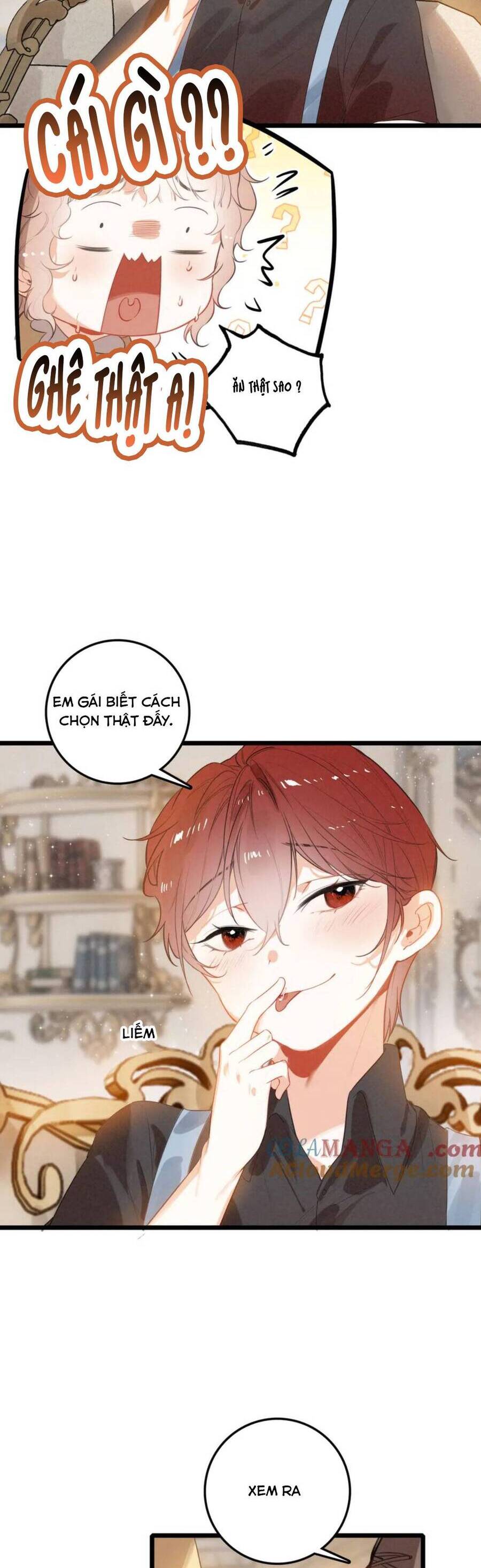 Sau Khi Xuyên Thành Tiểu Bảo Bảo , Cả Nhà Phản Diện Đều Muốn Giết Tôi! Chương 13 Ảnh 14