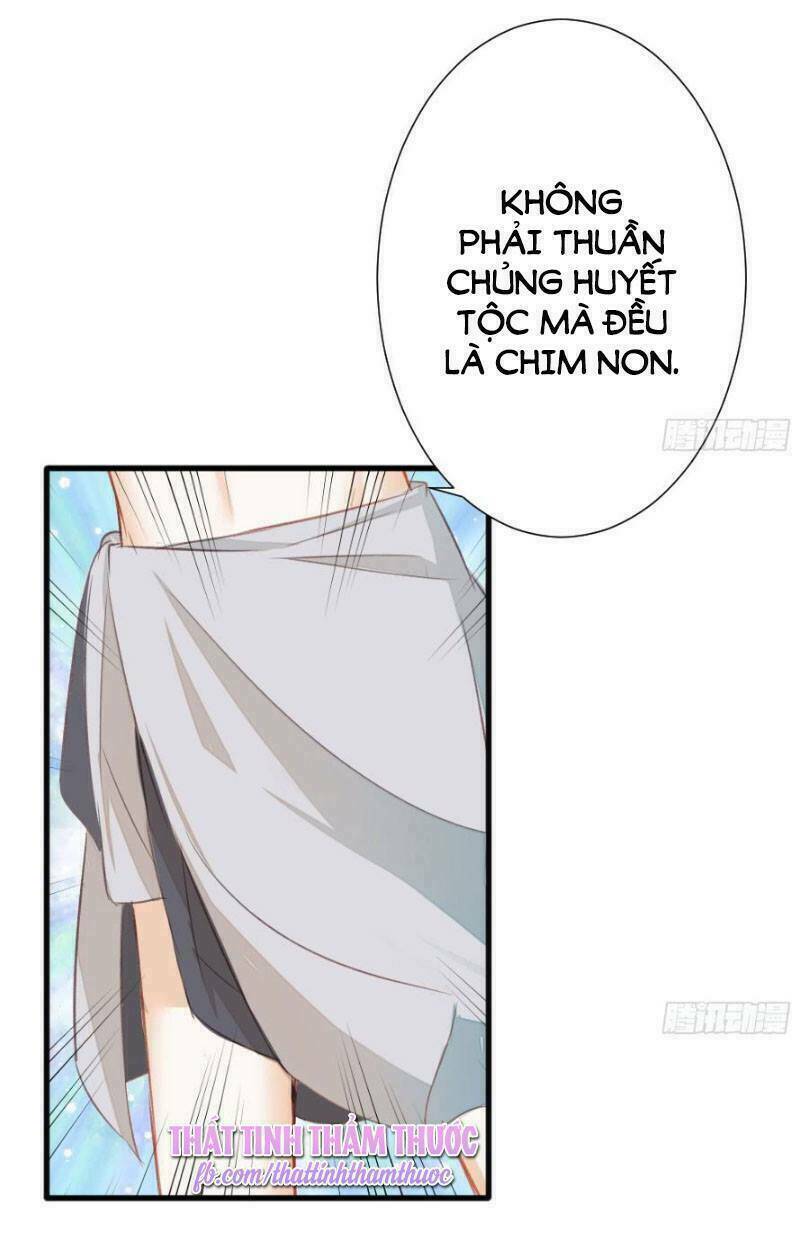 Hôm Nay Ta Cũng Muốn Trêu Chọc Nàng Chương 75 Ảnh 9