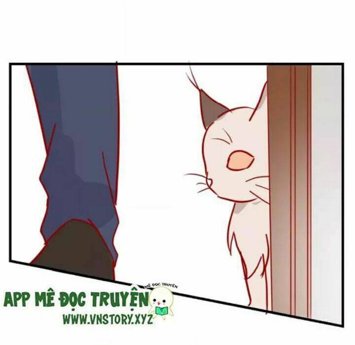 Hồ Tiên Này Không Tin Được Chương 43 Ảnh 11