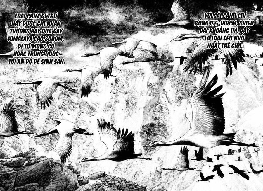 Kokou No Hito Chương 168 Ảnh 11