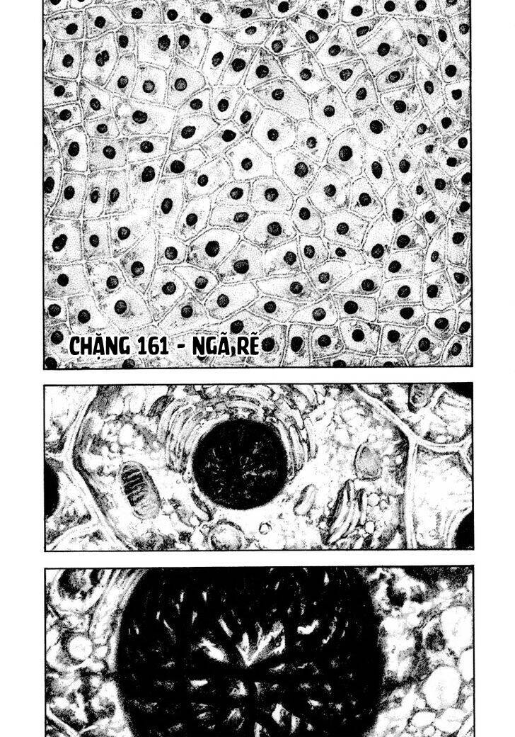 Kokou No Hito Chương 161 Ảnh 3