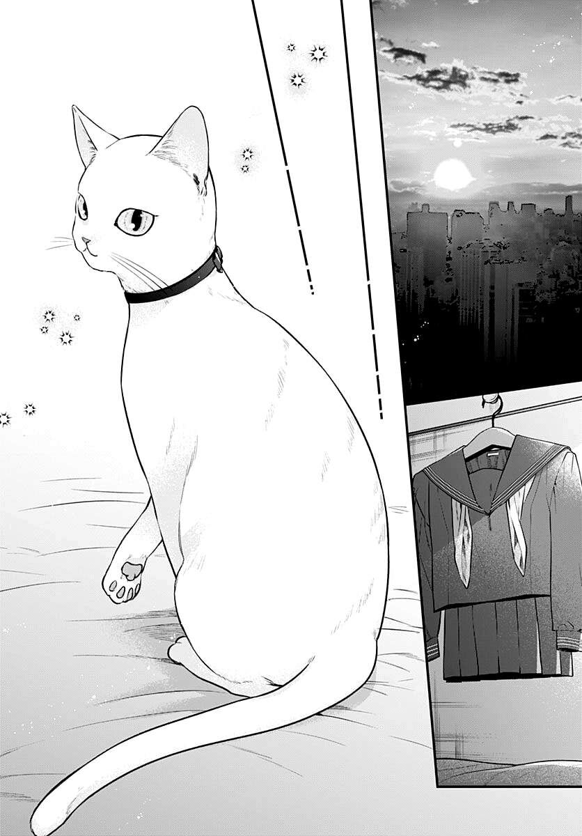 Mii-Chan Muốn Được Nhận Nuôi! Chương 8 Ảnh 30