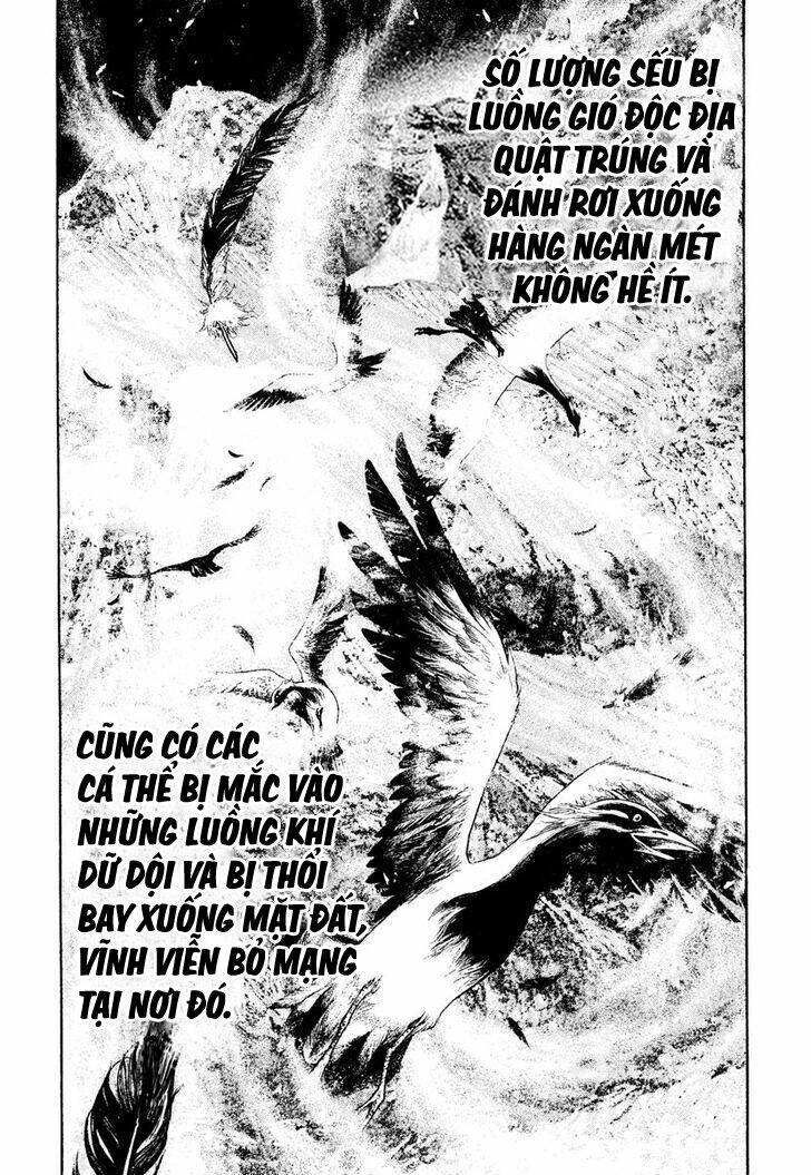 Kokou No Hito Chương 168 Ảnh 14