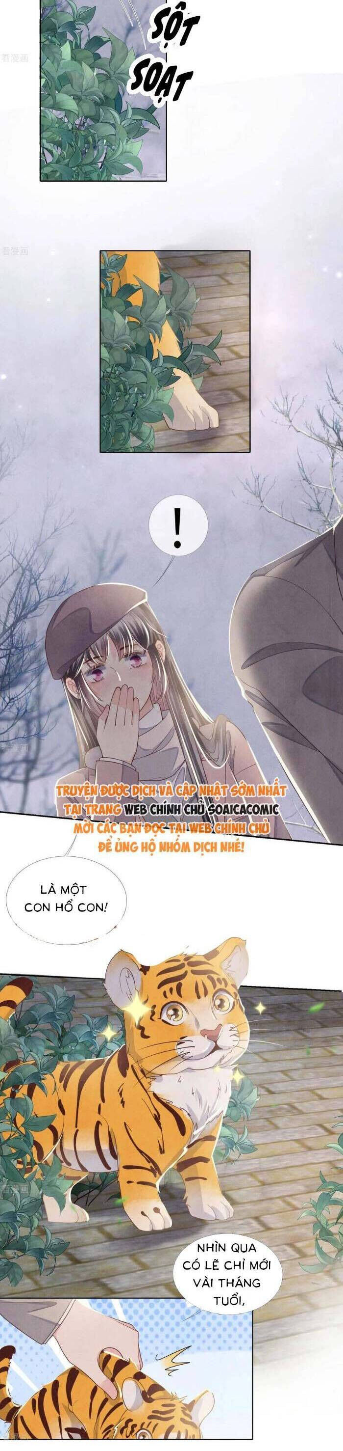 Tôi Có Ông Chồng Hay Ghen Chương 157 Ảnh 4