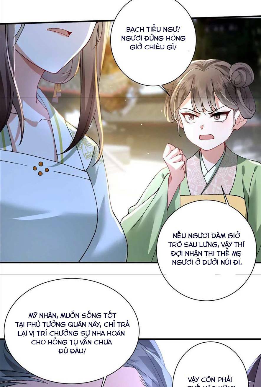 Phượng Hoàng Quy Hồi Chương 8 Ảnh 8