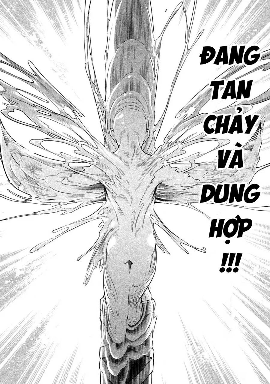 Tenkaichi - Thiên Hạ Đệ Nhất Võ Sĩ Đại Hội Chương 45 Ảnh 12