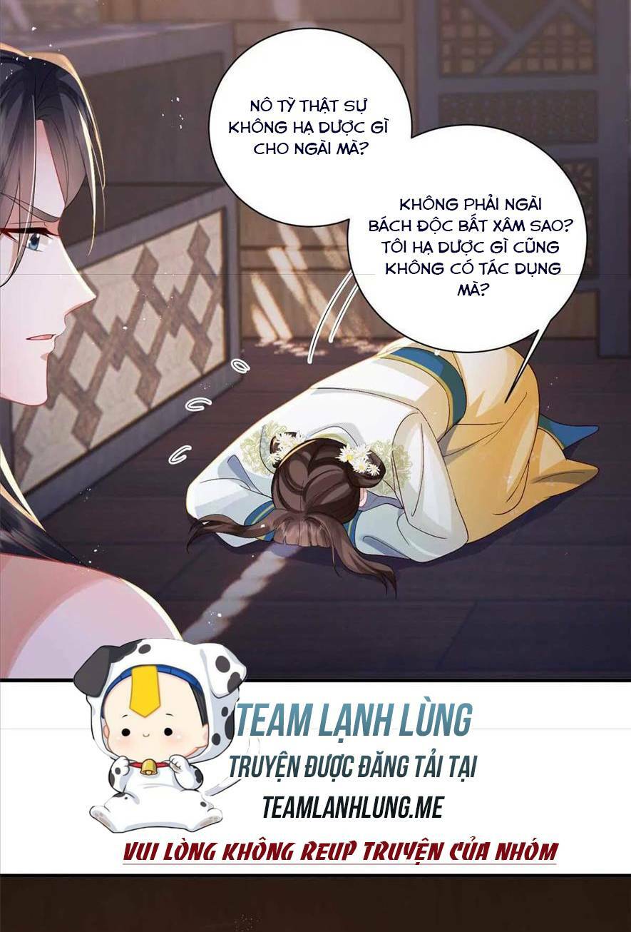 Phượng Hoàng Quy Hồi Chương 10 Ảnh 6
