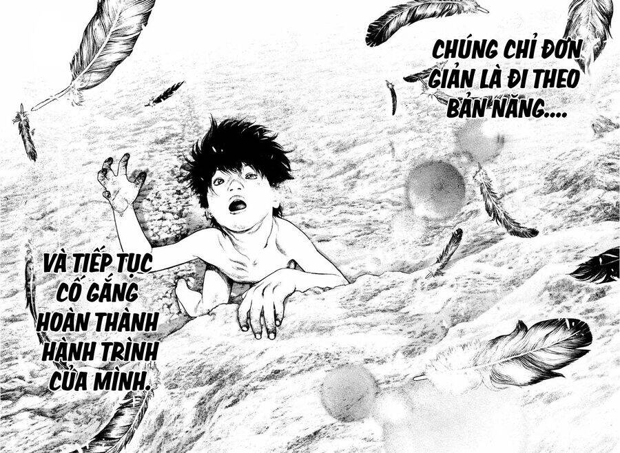 Kokou No Hito Chương 168 Ảnh 19
