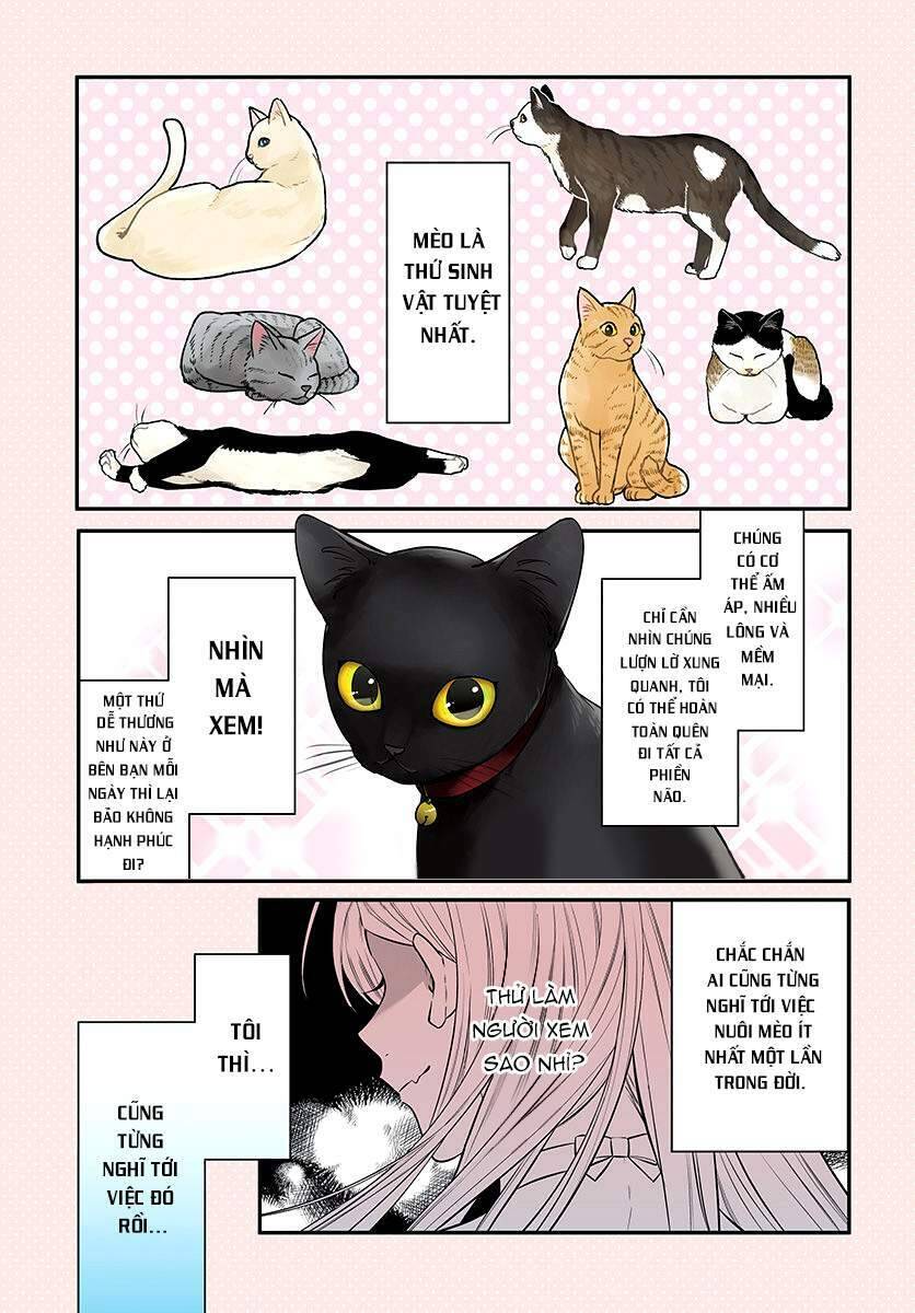 Mi-Chan Wa Kawaretai Chương 1 Ảnh 3