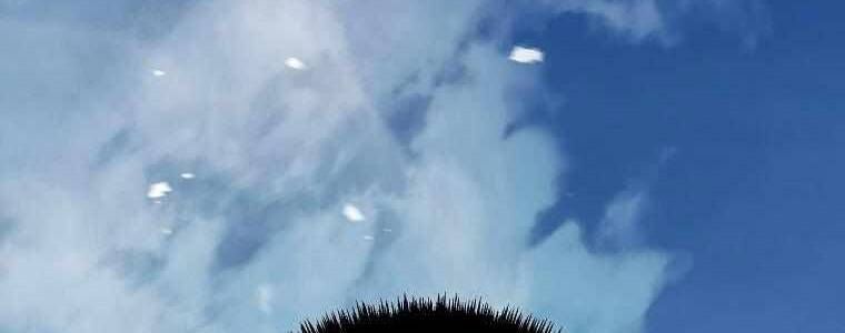 Huyền Thoại Tu La Độc Long Chương 126 Ảnh 191
