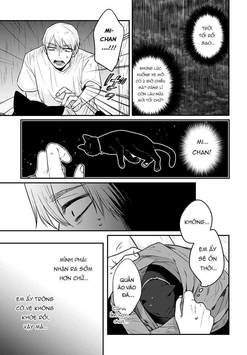 Mi-Chan Wa Kawaretai Chương 11 Ảnh 30
