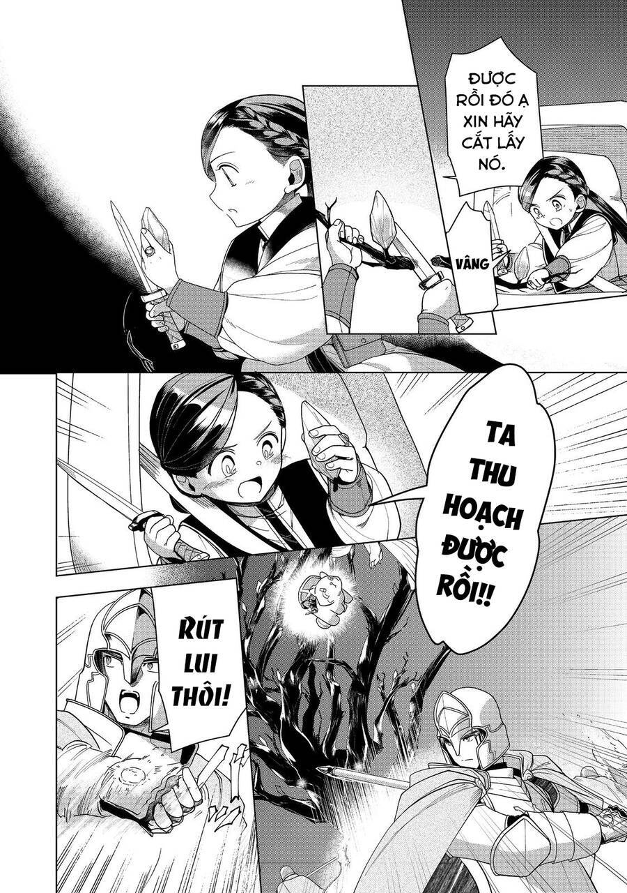 Honzuki No Gekokujou : Dai 3-Bu Ryouchi Ni Hon O Hirogeyou ! Chương 40 Ảnh 29