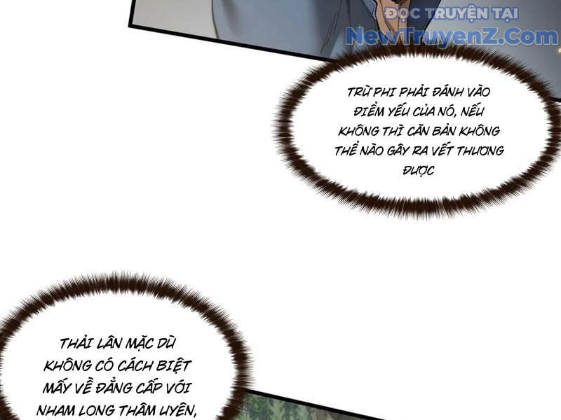 Ngự Thú: Ta Có Thế Thấy Toàn Bộ Chi Tiết Tiến Hóa Chương 22 Ảnh 11