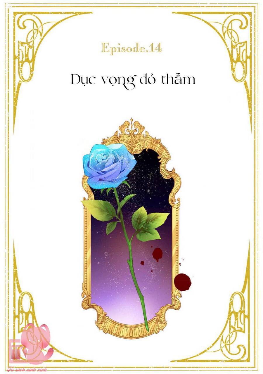 Hoa Hồng Ẩn Giấu Sao Băng Chương 14 Ảnh 5