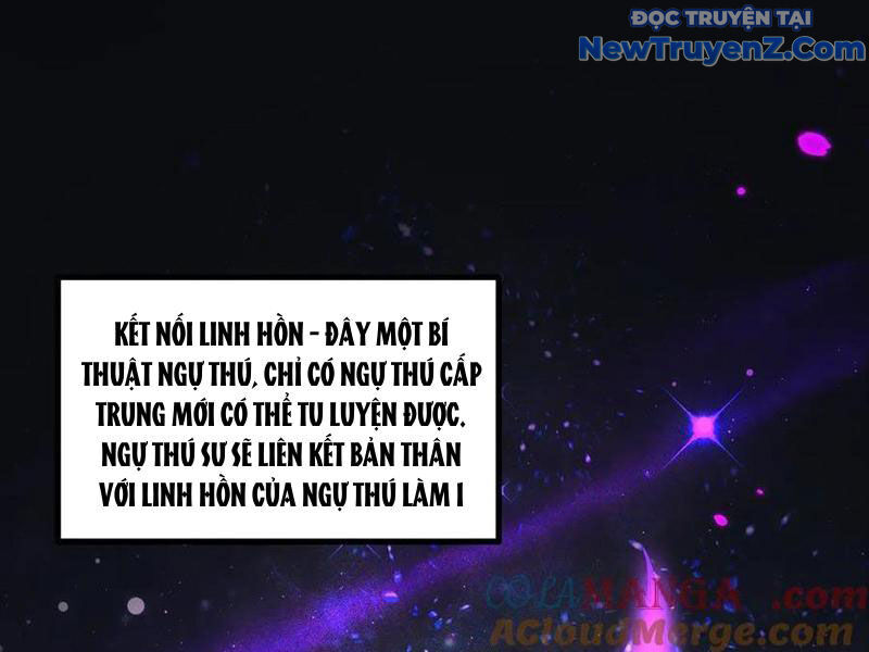 Ngự Thú: Ta Có Thế Thấy Toàn Bộ Chi Tiết Tiến Hóa Chương 16 Ảnh 5