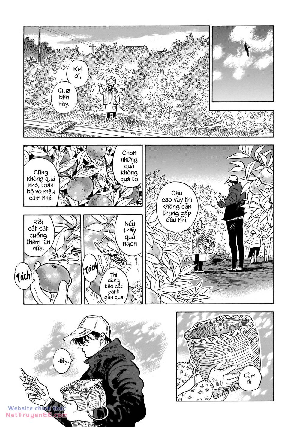 Hokuhokusei Ni Kumo To Ike Chương 46 Ảnh 28