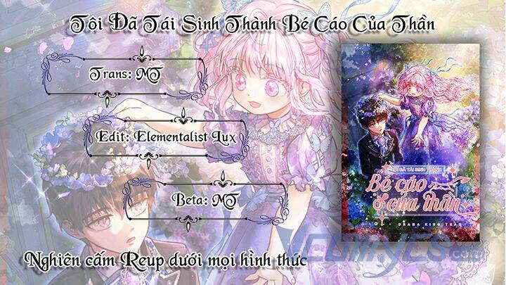 Tôi Đã Tái Sinh Thành Bé Cáo Của Thần Chương 39 Ảnh 66
