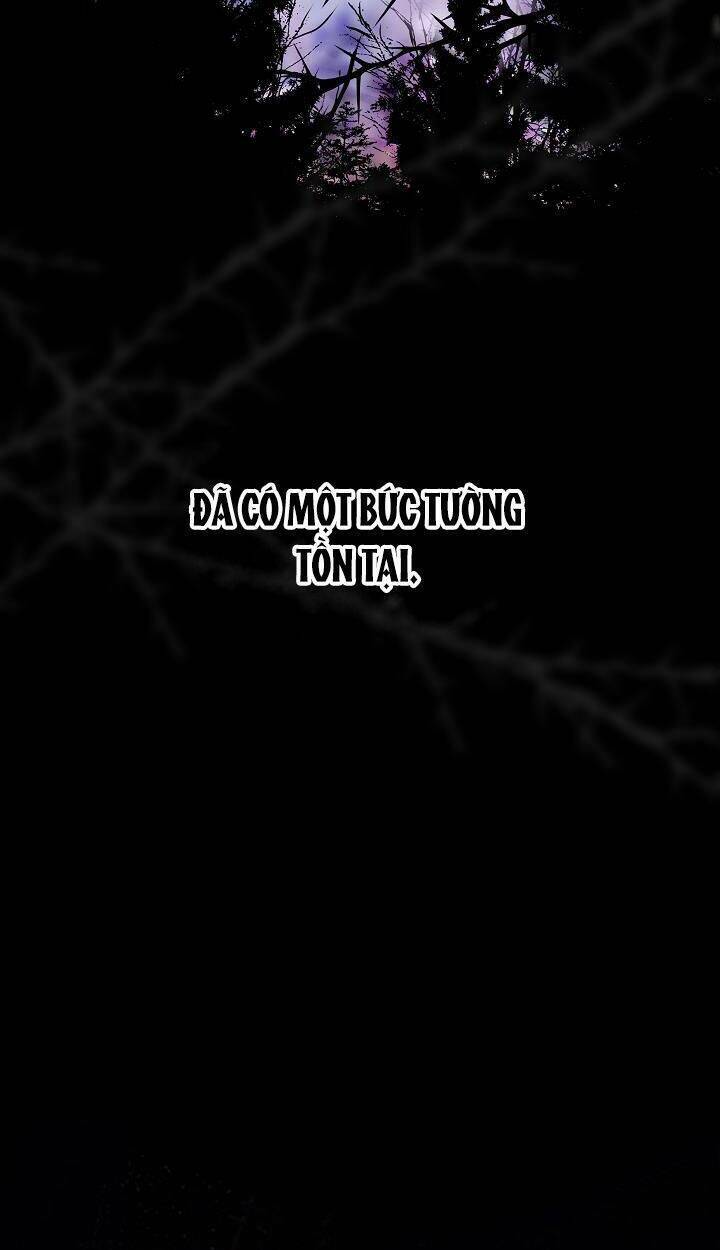 Tôi Đã Tái Sinh Thành Bé Cáo Của Thần Chương 38 Ảnh 24