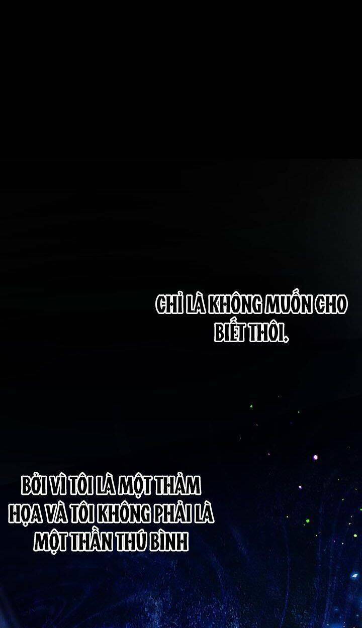 Tôi Đã Tái Sinh Thành Bé Cáo Của Thần Chương 37 Ảnh 38