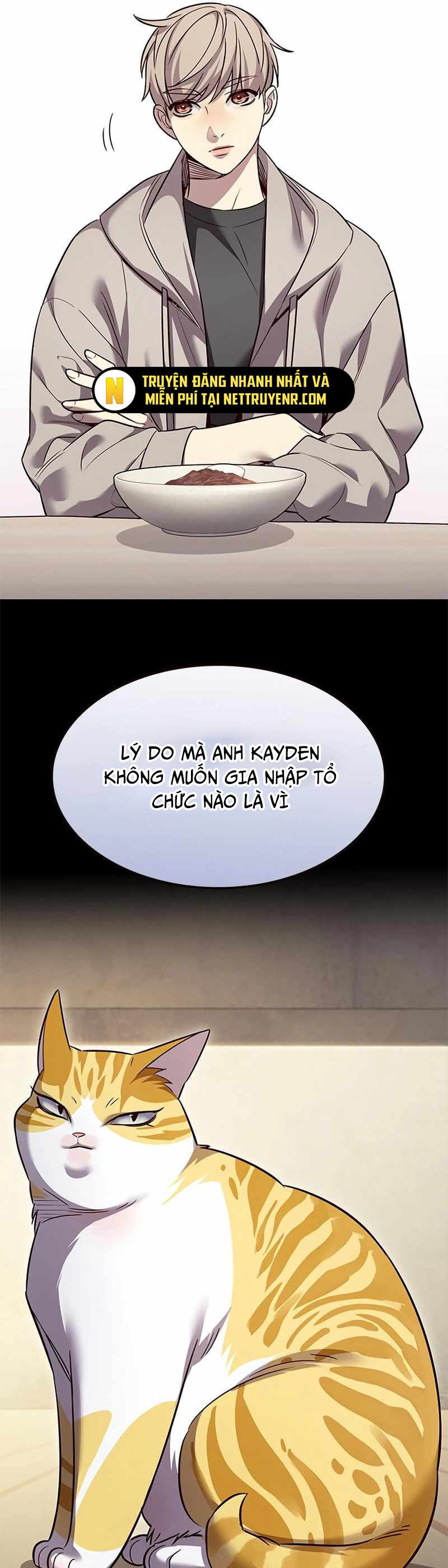 Biến Thân Thành Mèo Chương 347 Ảnh 32