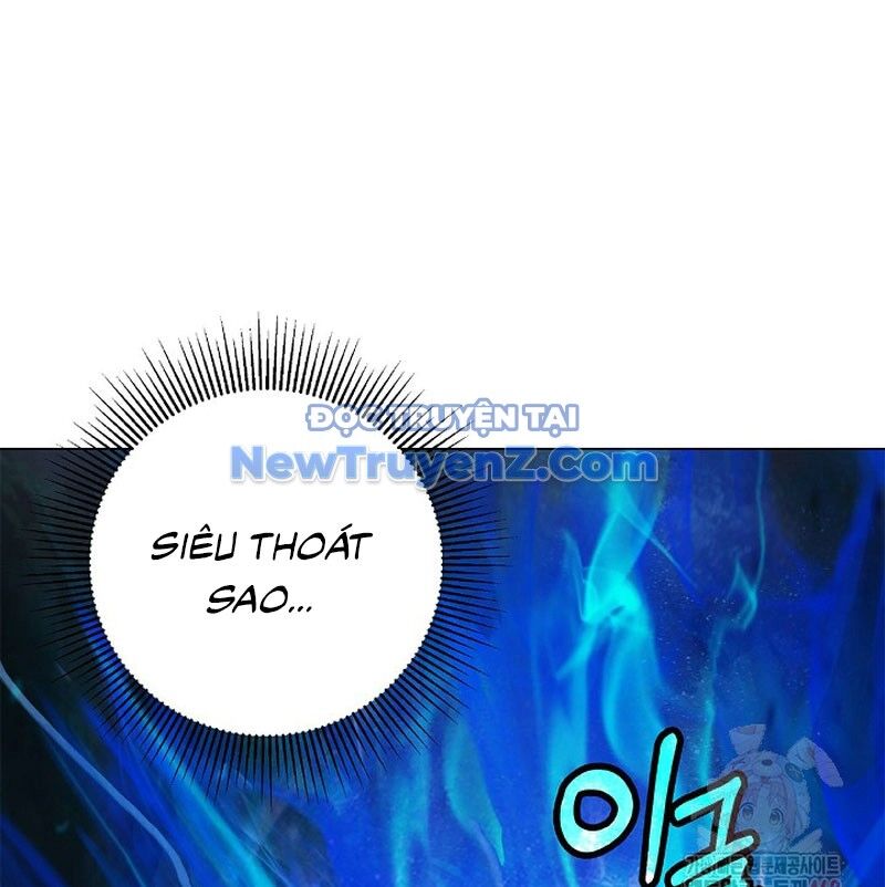 Xuyên Không Thành Hổ Chương 195 Ảnh 208