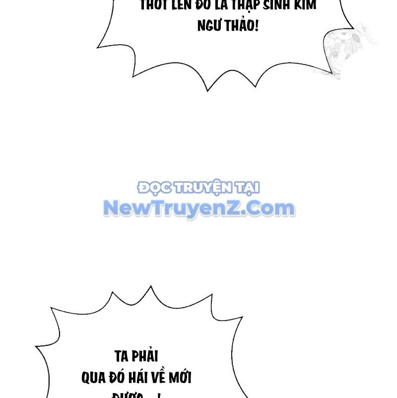 Xuyên Không Thành Hổ Chương 195 Ảnh 12