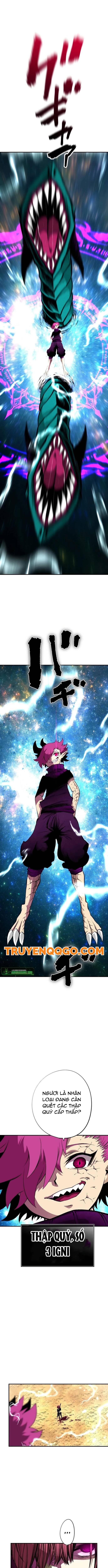 Ninja Tái Sinh Ở Thế Giới Khác - Hành Trình Tìm Lại Nhân Tính Của Fuuma Kotarou Chương 30 Ảnh 8