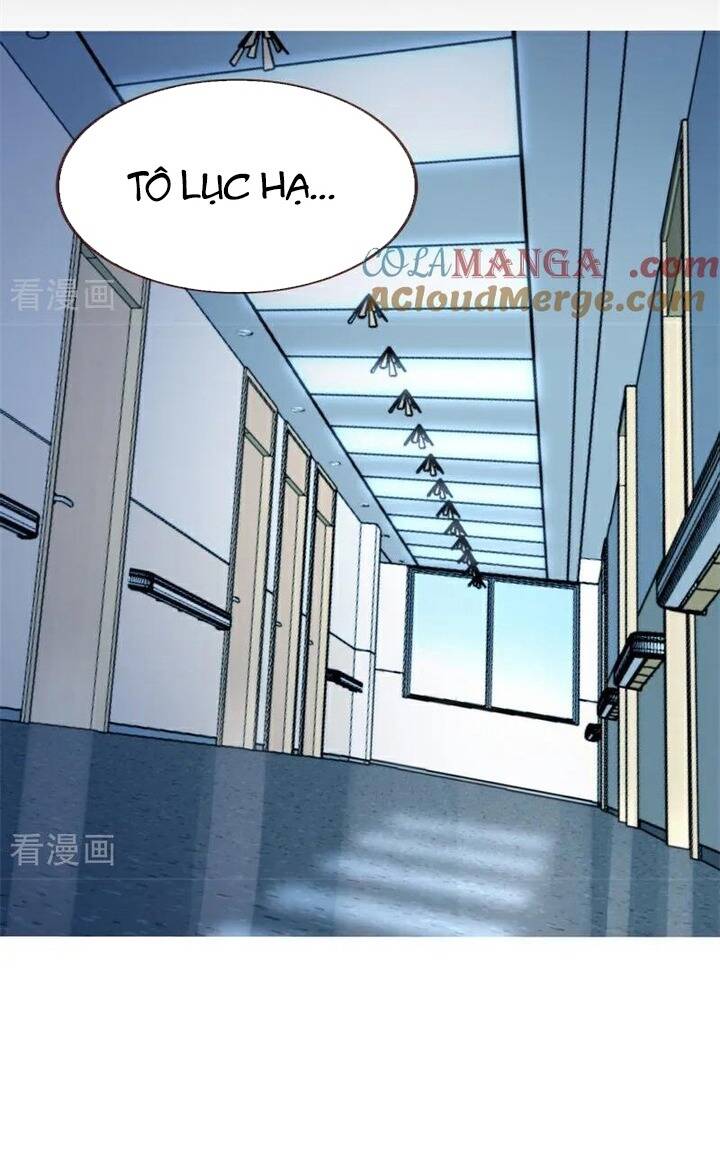 Vạn Tra Triêu Hoàng Chương 795 Ảnh 6