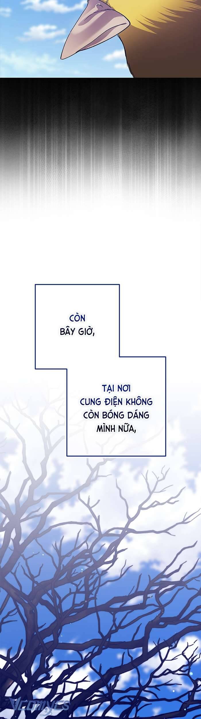 Cuộc Hôn Nhân Này Dù Sao Cũng Sẽ Tan Vỡ Mà Thôi Chương 92 Ảnh 13