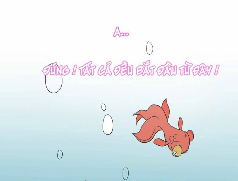 Hotboy Quốc Dân Sủng Thành Nghiện Chương 1 Ảnh 28