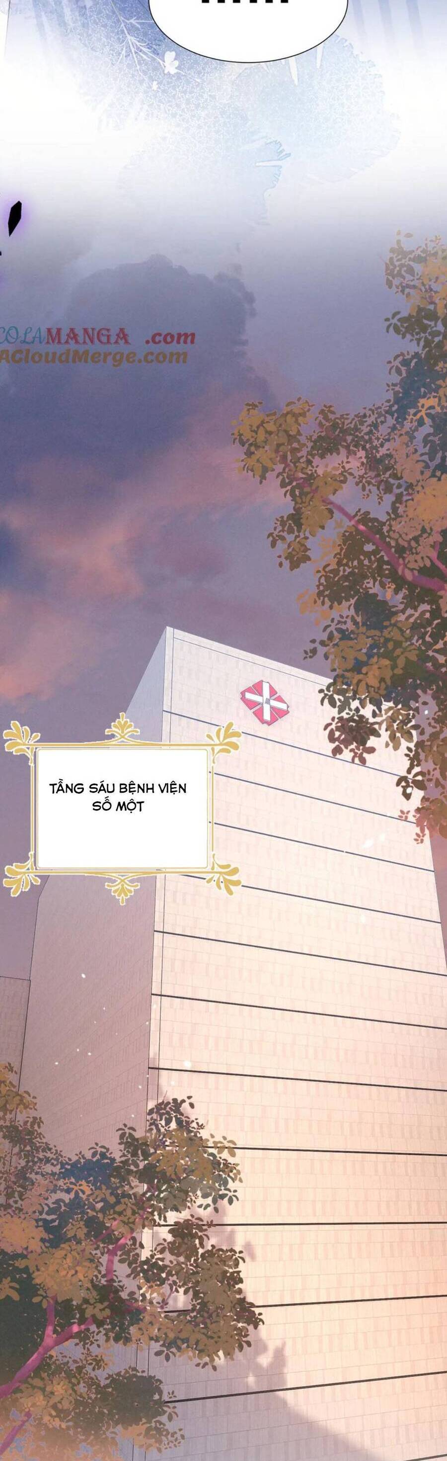 Phu Nhân, Thân Phận Của Người Lộ Rồi Chương 75 Ảnh 24