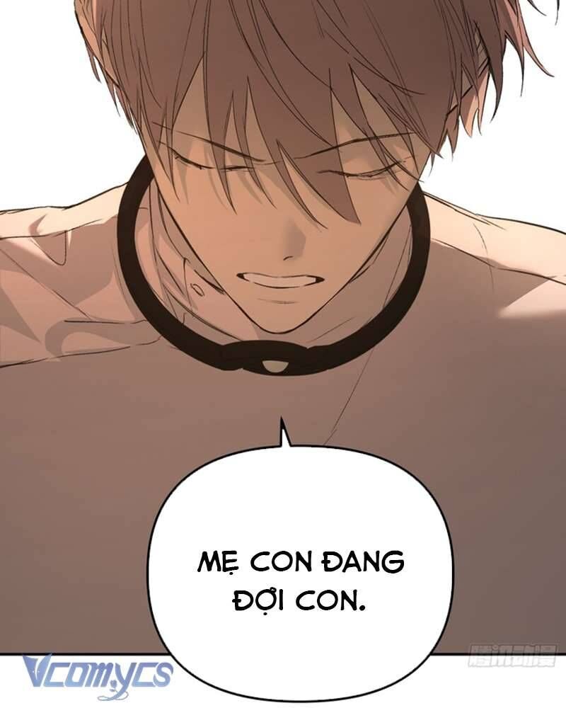 Ác Chi Hoàn Chương 54 Ảnh 48