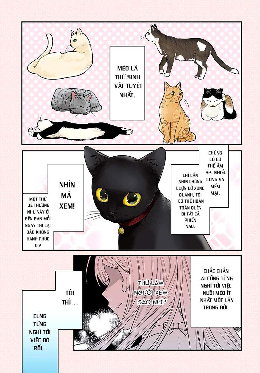 Mii-Chan Muốn Được Nhận Nuôi! Chương 1 Ảnh 3