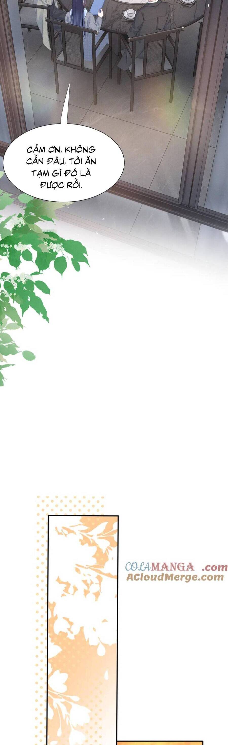 Phu Nhân, Thân Phận Của Người Lộ Rồi Chương 68 Ảnh 13