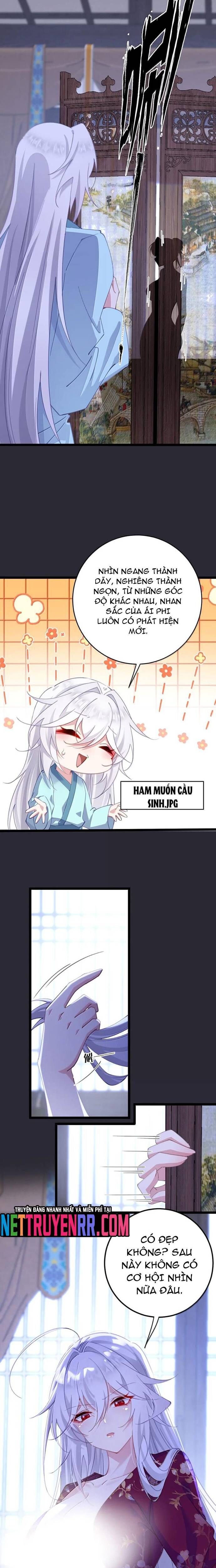 Đập Vỡ Hoàng Đế Nữ Nhi Thân Chương 46 Ảnh 5