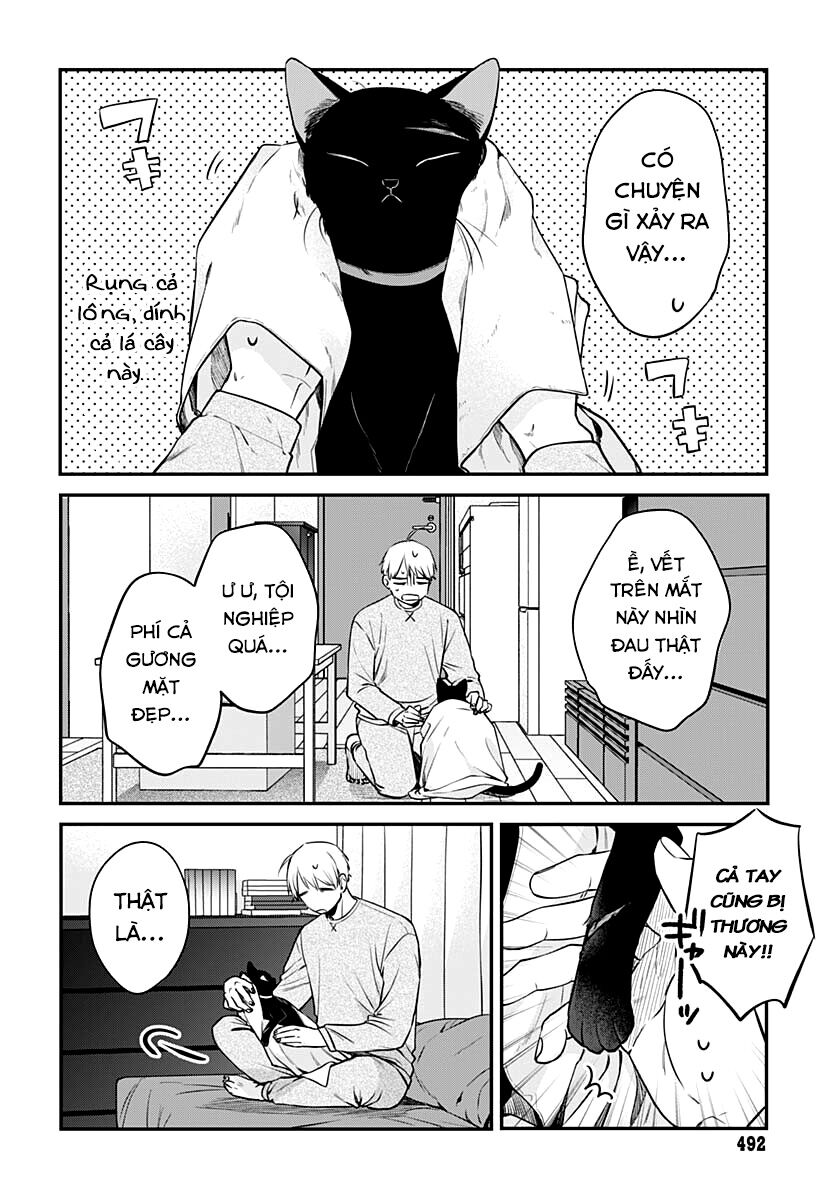 Mii-Chan Muốn Được Nhận Nuôi! Chương 6 Ảnh 10
