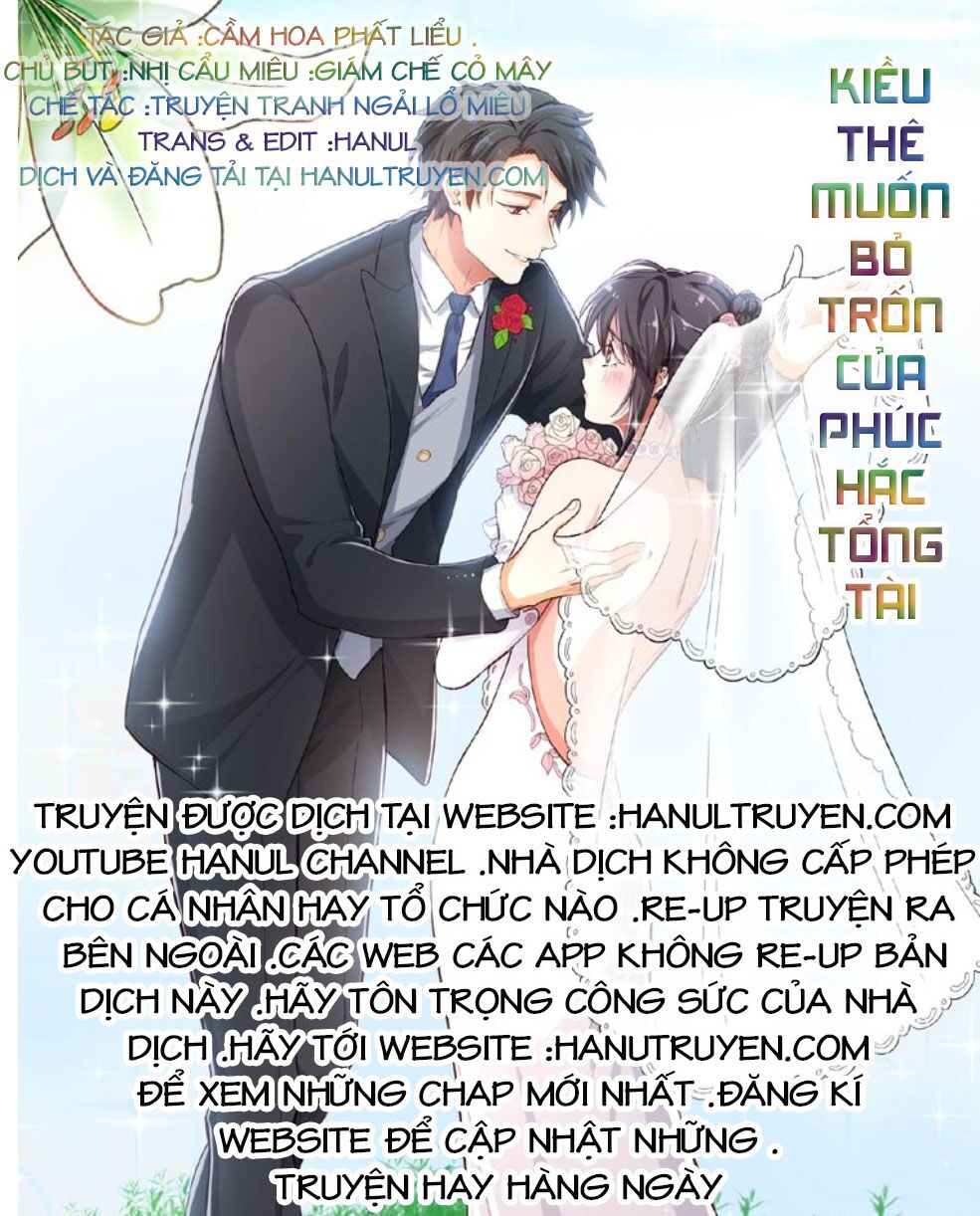 Kiều Thê Muốn Bỏ Trốn Của Phúc Hắc Tổng Tài Chương 11 Ảnh 2