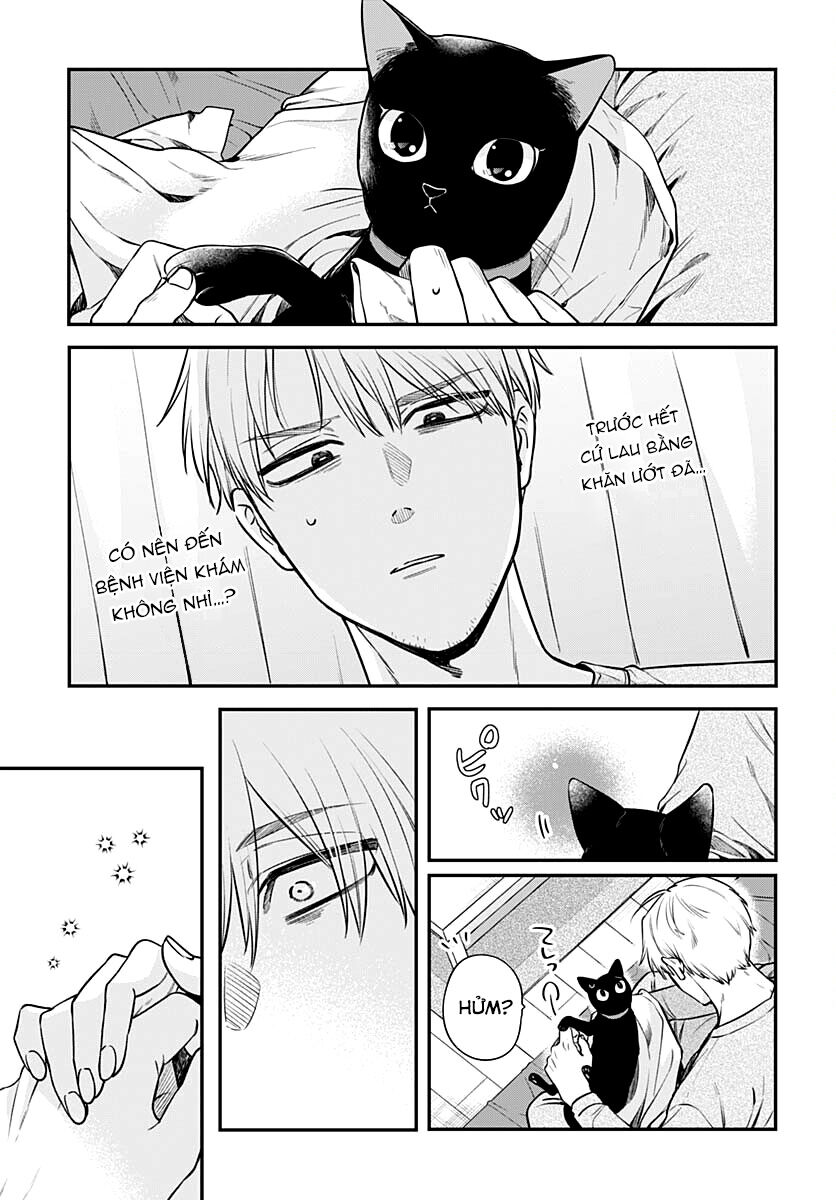 Mii-Chan Muốn Được Nhận Nuôi! Chương 6 Ảnh 11