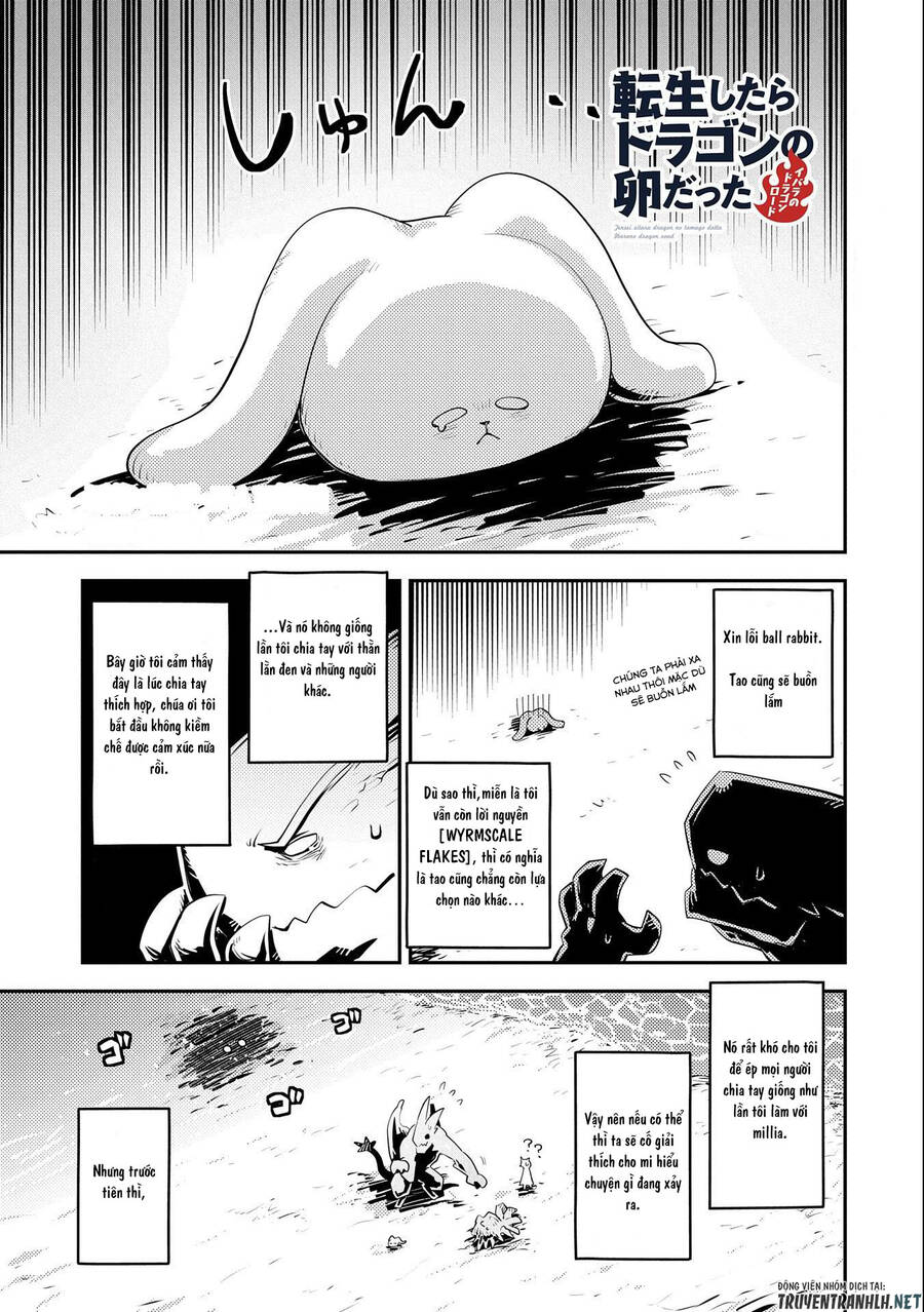 Tensei Shitara Dragon No Tamago Datta Chương 26 Ảnh 2