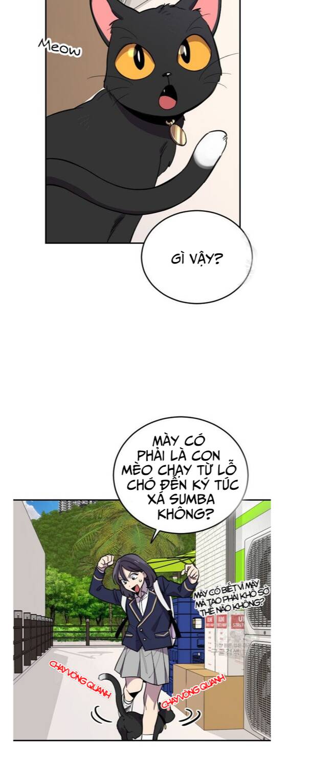 Trên Đời Này Không Có Ai Ngu Ngốc Như Thế Chương 4 Ảnh 78