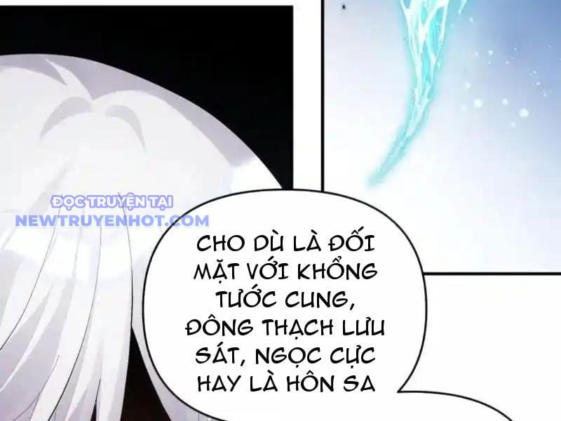 Thế Nhân Thực Sự Tin Tôi Là Đại Boss Chương 103 Ảnh 47