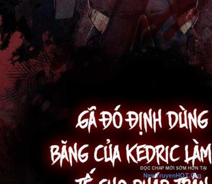 Đa Sắc Ma Pháp Sư Thiên Tài Chương 38 Ảnh 50