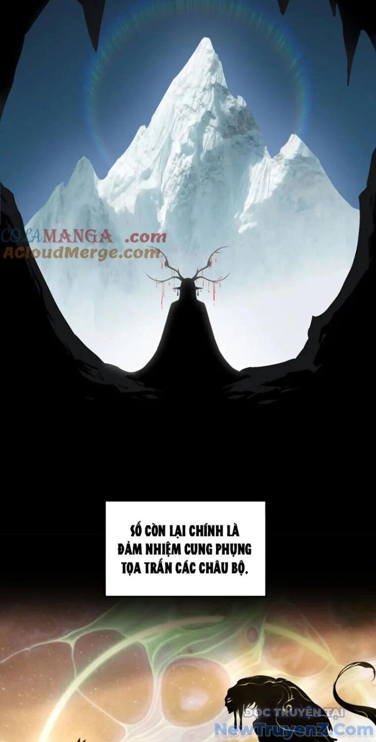 Đại Lộ Vô Danh Chương 83 Ảnh 30
