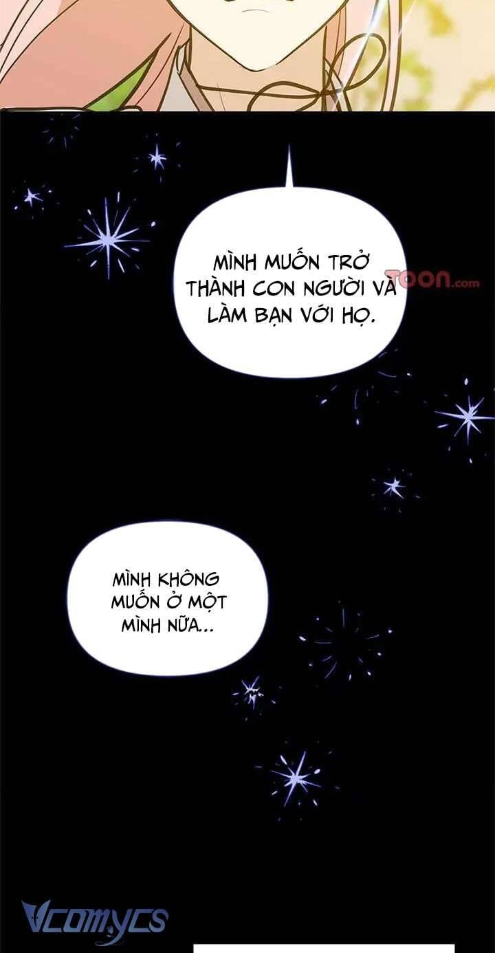 Điều Ước Sao Băng Chương 51 Ảnh 47